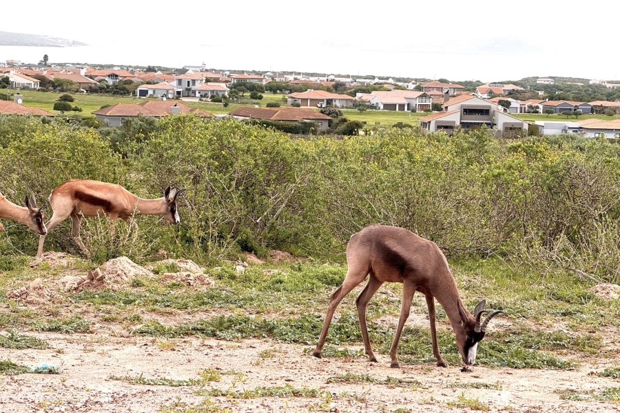 0 Bedroom Property for Sale in Langebaan Country Estate Western Cape